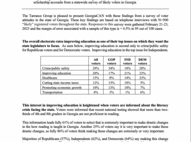 2023 Georgia Opinion Poll